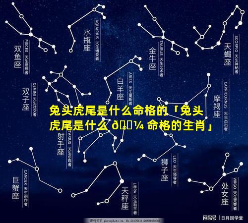 兔头虎尾是什么命格的「兔头虎尾是什么 🌼 命格的生肖」